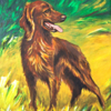 Irish-Setter-Acryl-Leinwand-50x60