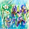 Iris, Batik 30x30